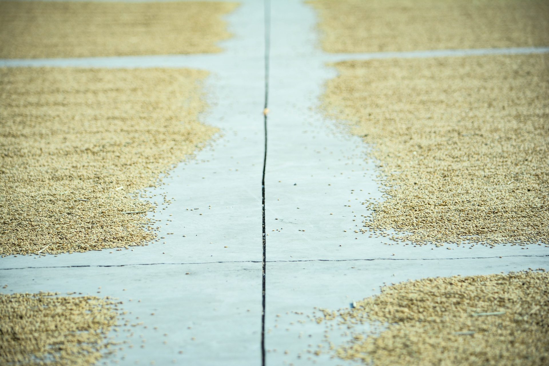 Xiaoshan District An Emerald Alternative to West Lake SupCZ